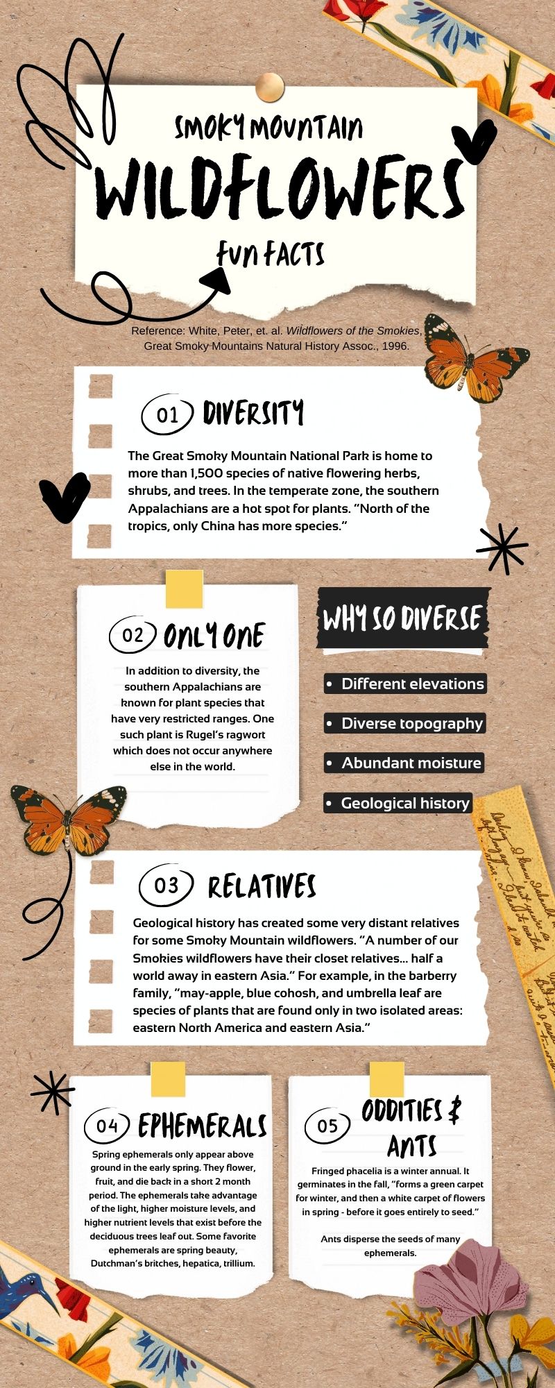 Smoky Mountain Wildflower Infographic