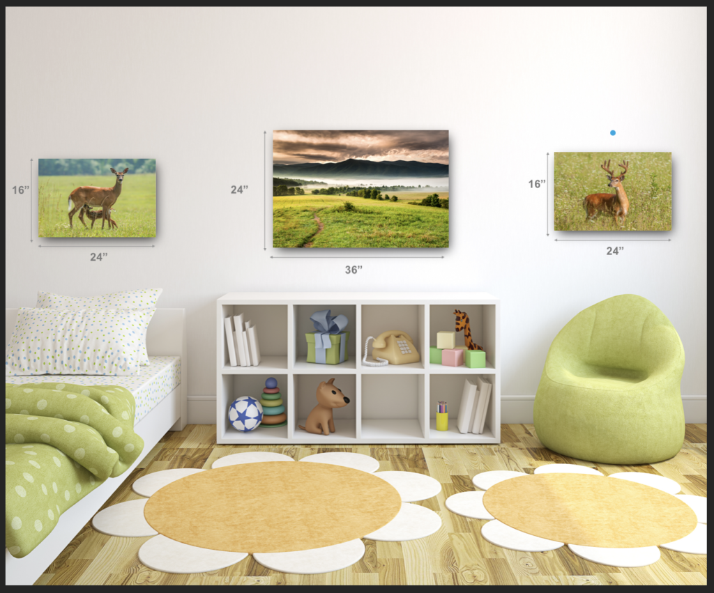 Child's room decorated with a 24"x36" landscape image of Cades Cove with wildlife images of a nursing fawn and a buck in velvet on each side.